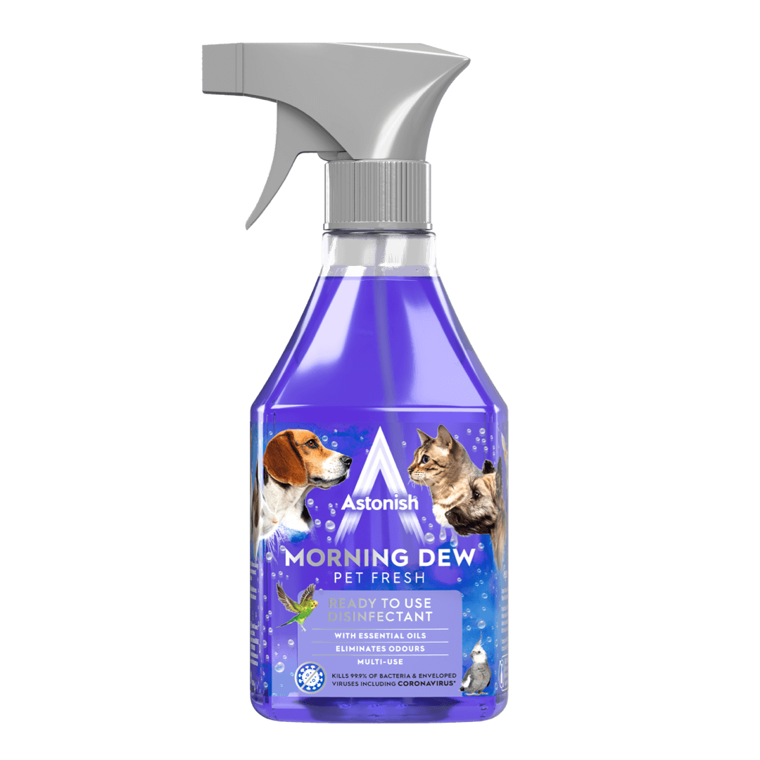 Ready to Use Disinfectant Spray Morning Dew - Image 3